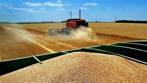 Para El Se Espera Que Las Agroexportaciones Aportar N