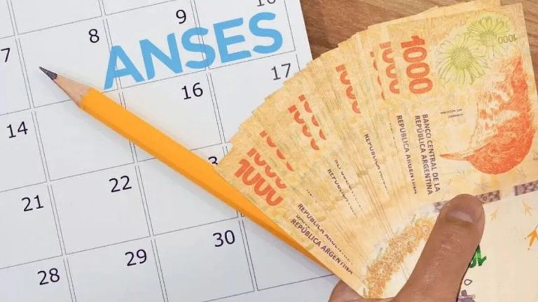 Calendario completo de ANSES para agosto mirá cuándo cobrás cada