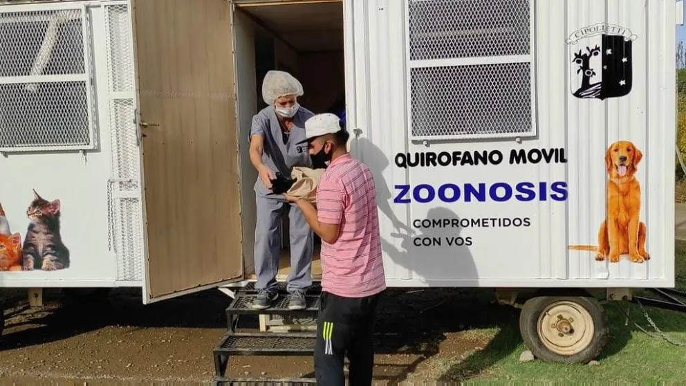 Cómo sigue el cronograma de castraciones de perros y gatos durante febrero