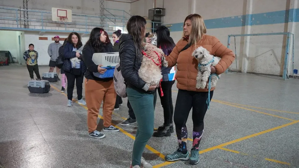 Habrá una campaña de vacunación gratuita de mascotas en Costa Norte