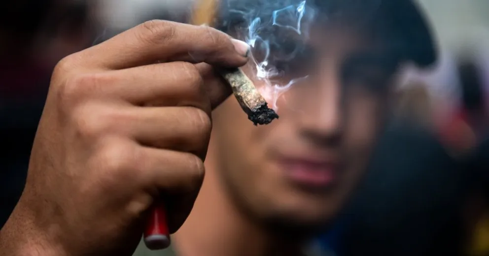Fuerte crecimiento en el consumo de marihuana según nueva encuesta