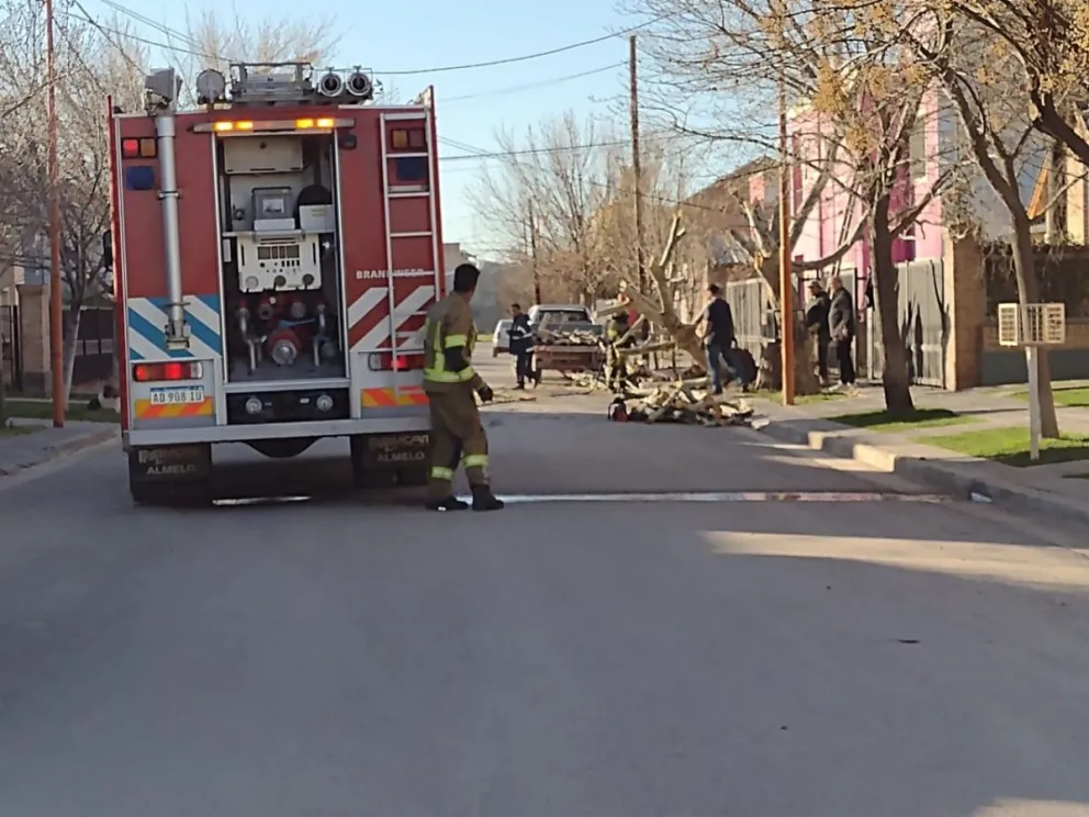 VIDEO: Un gran susto: sacaban un árbol y provocaron un escape de gas