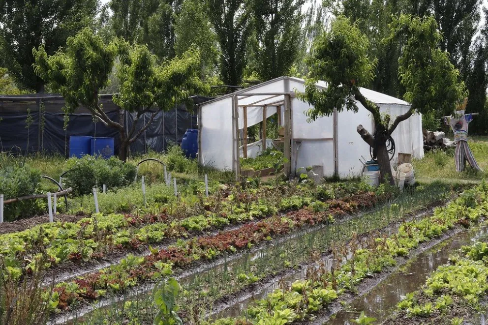 Feria agroecológica y charlas gratuitas imperdibles este sábado en la ciudad 