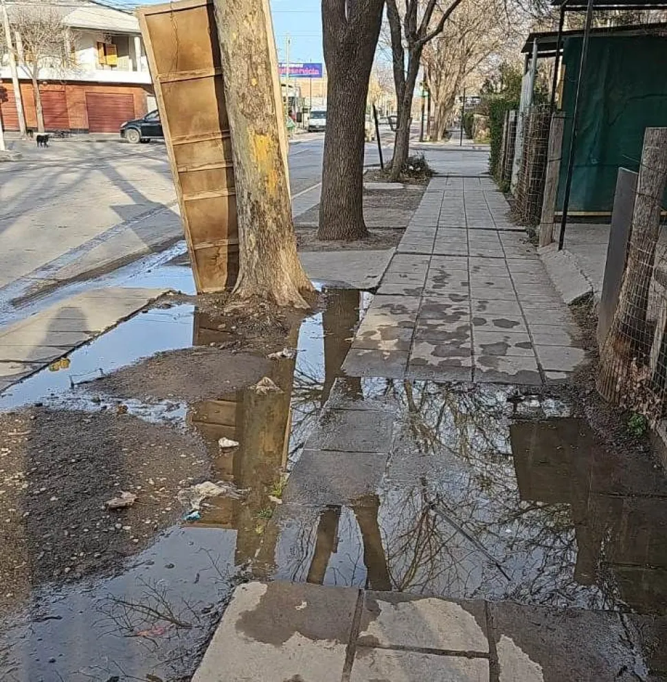 De mal en peor: una pérdida de cloacas en las 1200 se convirtió un grave problema de contaminación 