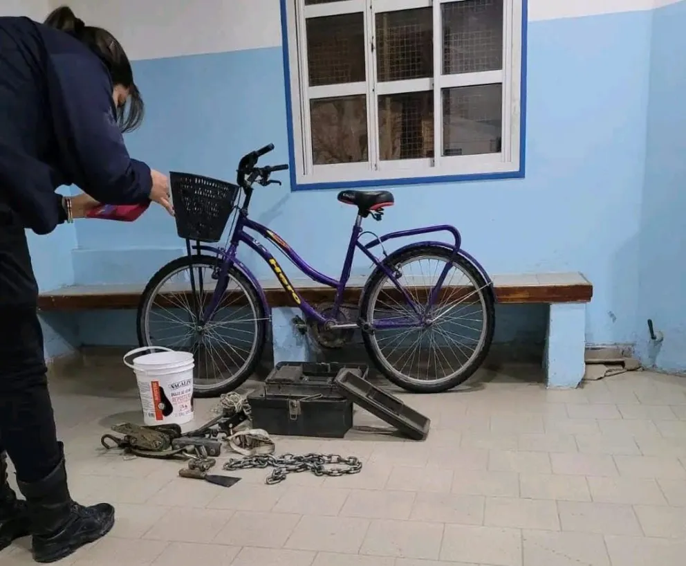 Inseguridad en zona norte: atraparon a dos delincuentes con las manos en la masa