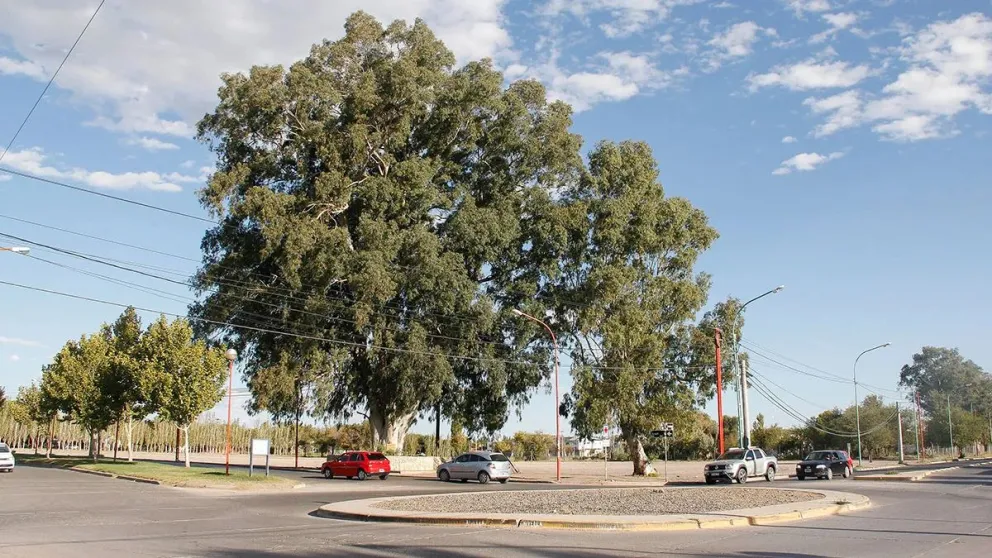 El intendente resaltó que el proyecto cumplirá con el Código de Planeamiento Urbano y habrá un importante espacio verde. | Foto (archivo)