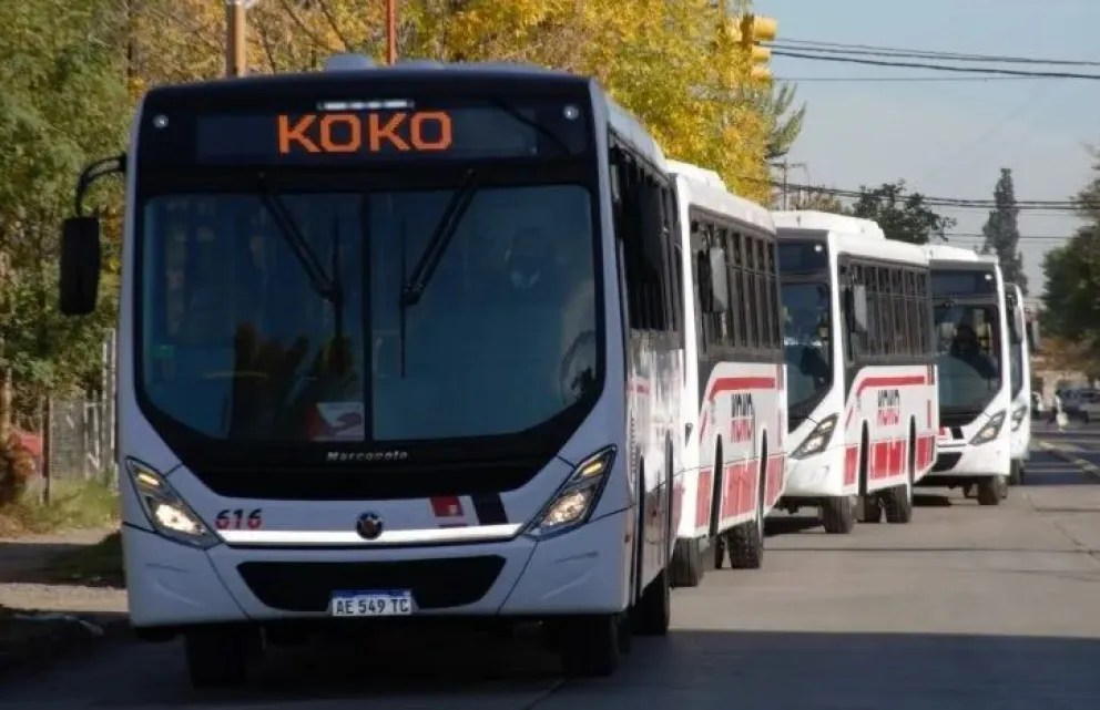 Aumentó el transporte Koko: ¿Qué pasa con Cipolletti - Neuquén?