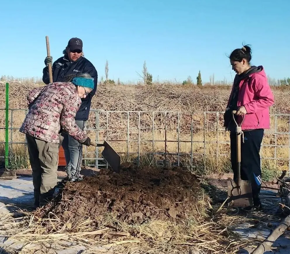 Nuevo taller de preparado de suelo y compost