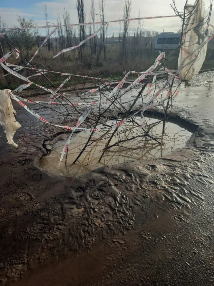 Varios autos afectados en la calle Maestro Espinosa por una rotura en la red cloacal