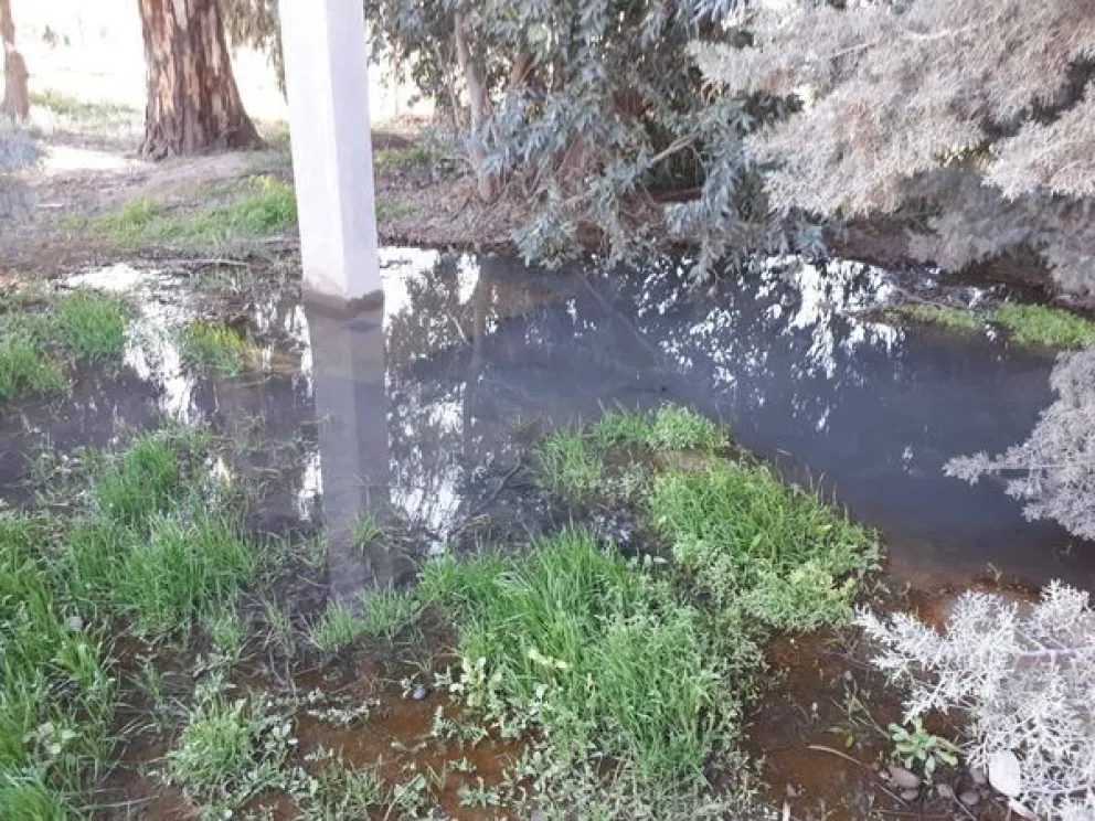 Padres del Jardín 114 de Balsa Las Perlas denuncian desbordes cloacales y baños clausurados