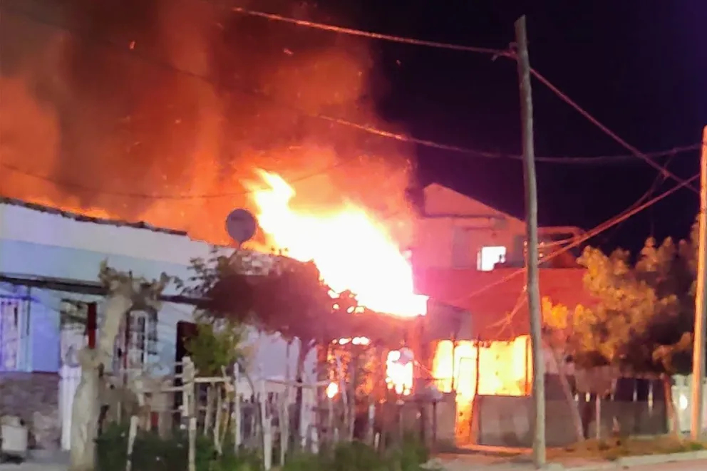 Trágico incendio: Un perrito perdió la vida y una mujer quedó sin hogar
