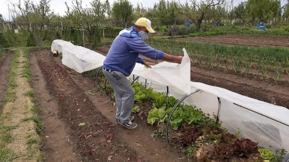  La Falda: 25 Años de agricultura sostenible y comunidad activa
