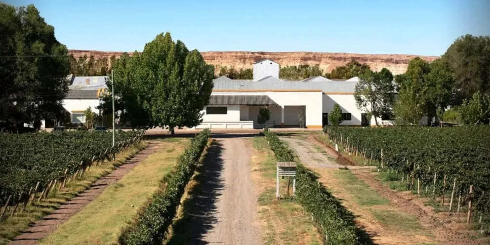 "Pre Viaje": aseguran que el objetivo es continuarlo "como una herramienta de desarrollo regional"