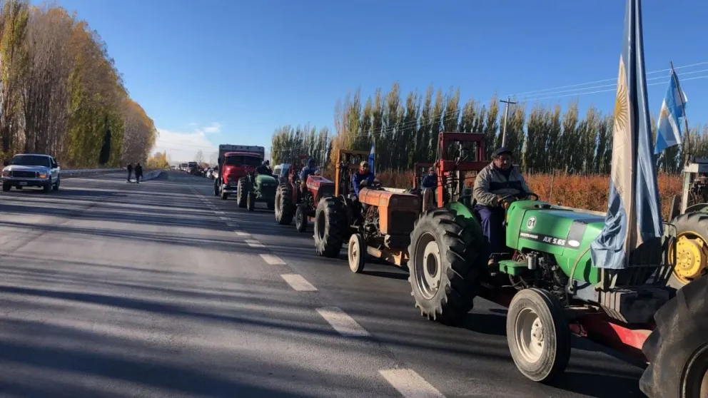 Productores frutícolas autoconvocados realizarán un tractorazo en la ruta 151