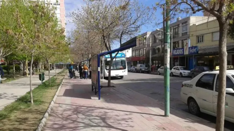 UTA adhiere al paro del miércoles 24 ¿Qué pasará con los servicios de transporte en el Alto Valle?