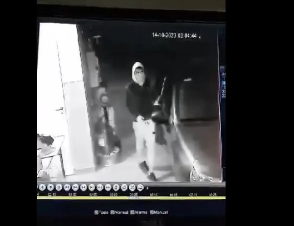 Se robaron un auto del garage de una casa y quedó todo grabado 