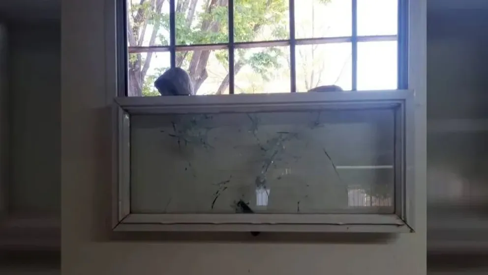 Ataque vandálico en el Jardín 50