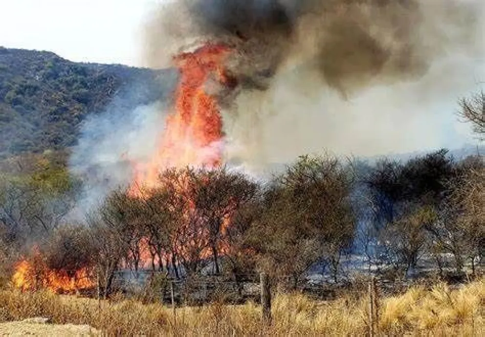 Finde con mucho viento: conoce las medidas preventivas contra incendios