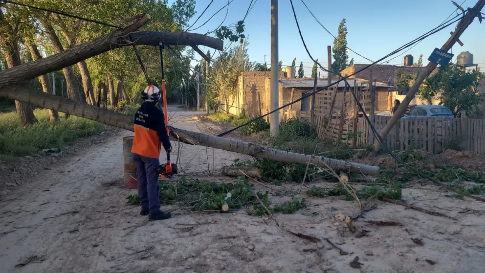 Árboles caídos y problemas eléctricos por el temporal de viento