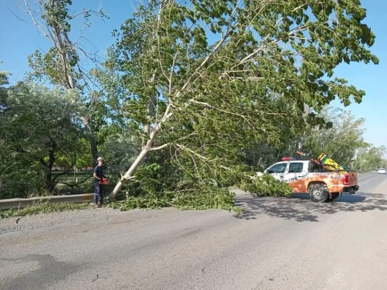 Fuerte temporal de viento en Cipolletti provoc&oacute; cortes de energ&iacute;a y agua |  Cipo360