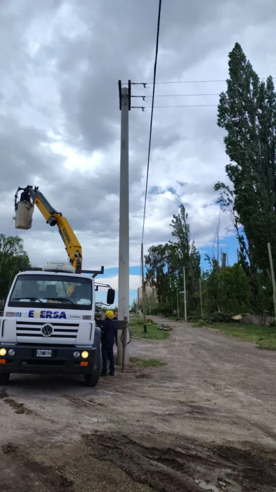Árboles caídos afectaron las líneas de alta tensión y de telefonía 