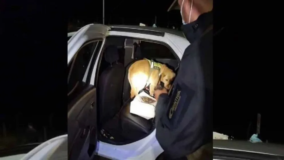 Un argentino fue detenido por intentar ingresar "droga zombie" a Chile