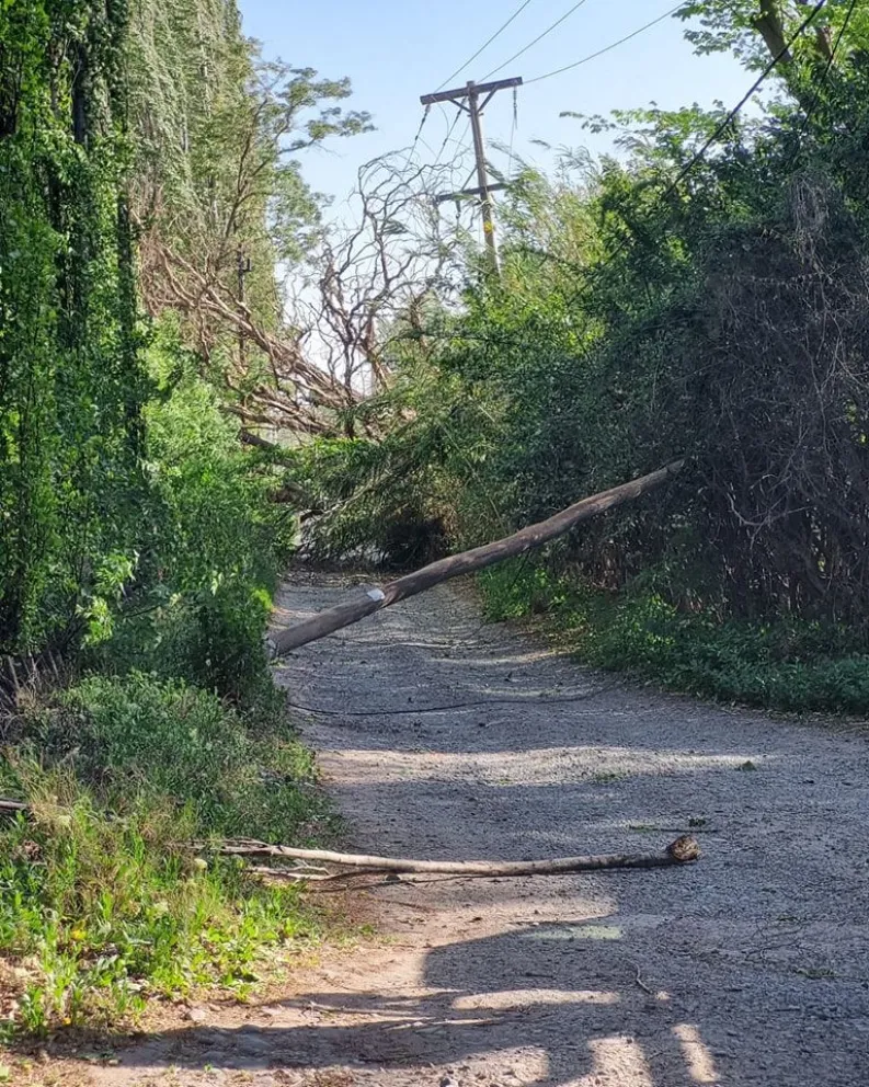   Temporal de viento en Cipolletti: Protección civil brindó ayuda en más de 180 ocasiones 