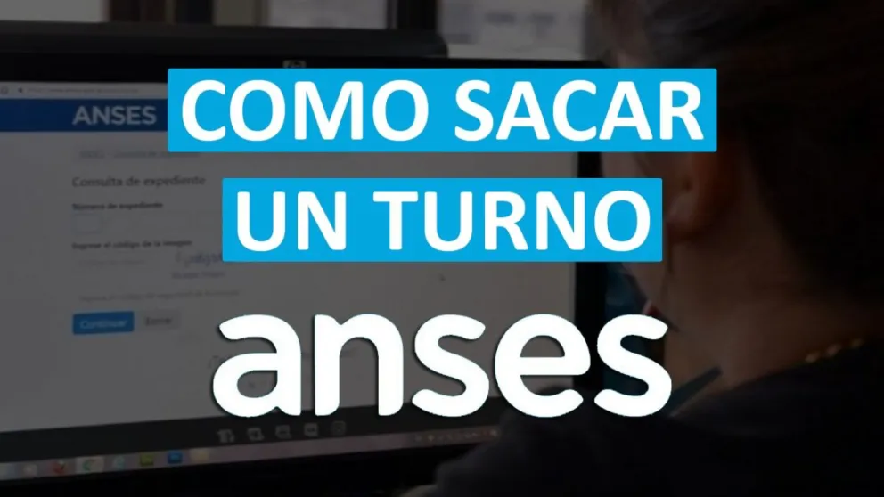 ANSES: cómo realizar trámites en la aplicación