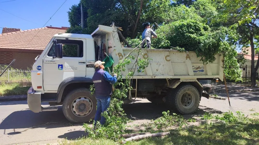 Trabajan en diferentes barrios cipoleños para despejar lo que el viento dejó 