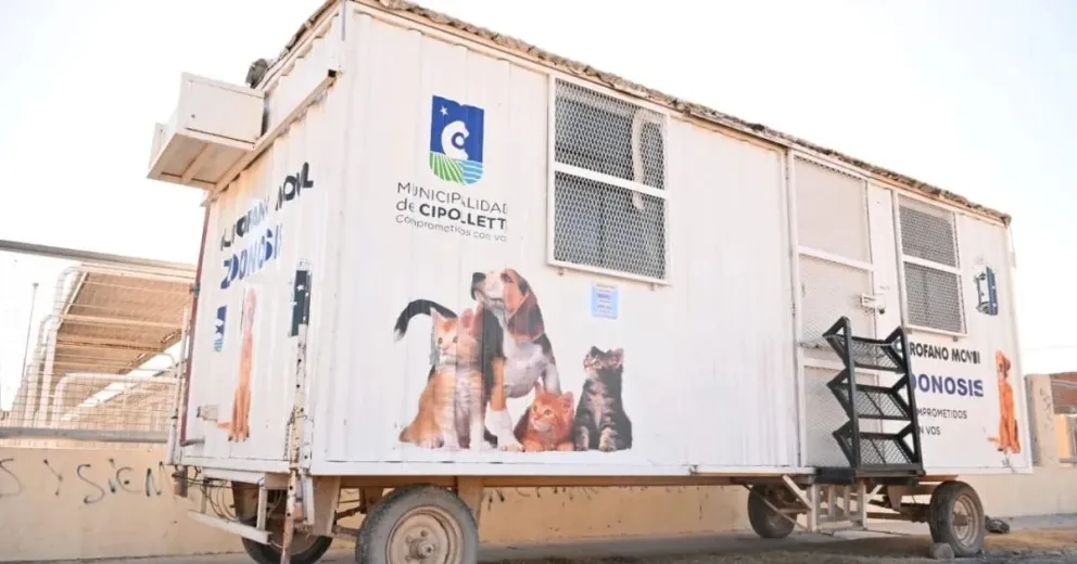  Nuevo cronograma de vacunación antirrábica y desparasitación para perros y gatos