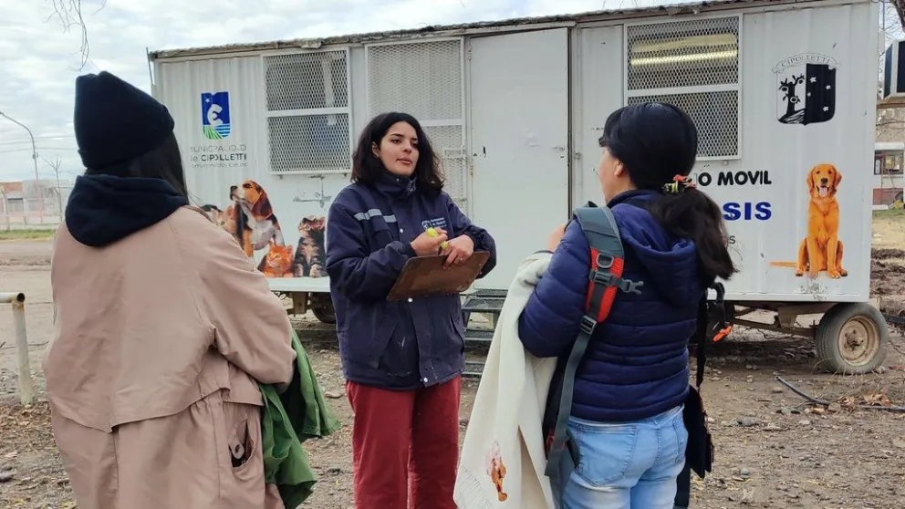 En noviembre también se mantiene el programa de castraciones, enterate los lugares y horarios