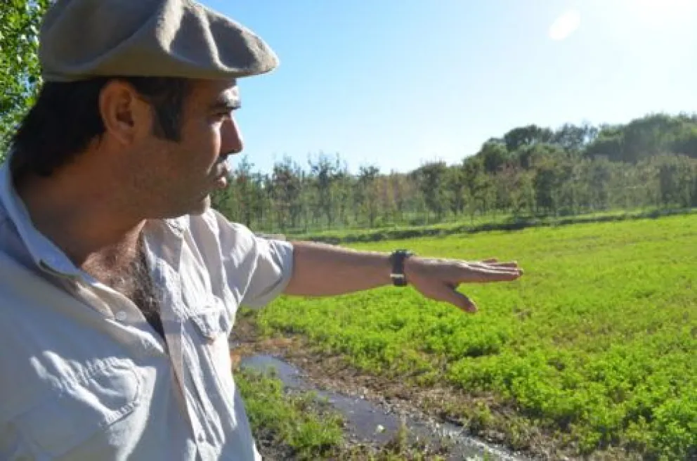Flor del Prado: el rescate de una marca histórica de los cipoleños