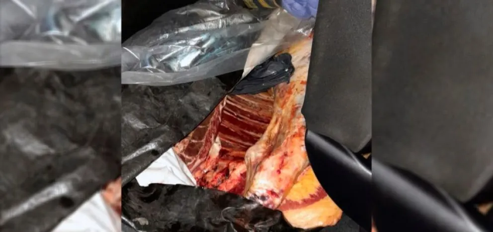 Lo atraparon con 200 kilos de carne en el asiento trasero