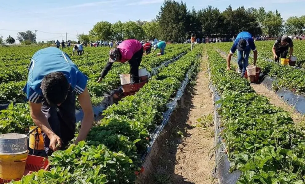 Aumentan 21% la prestación por desempleo para trabajadores rurales: cuánto cobrarán 