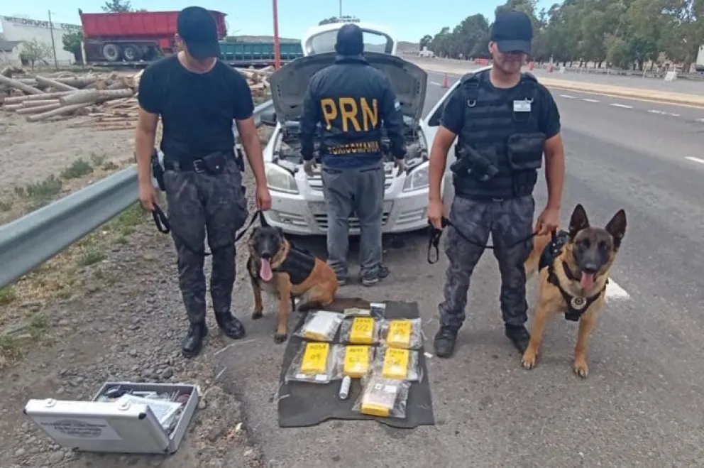Desarticulan tres kioscos de drogas en Cipolletti y procesan a seis personas por narcomenudeo