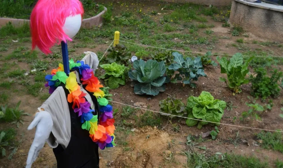 Se termina el misterio, hoy se conoce al espantapájaros ganador del concurso de Huertas comunitarias