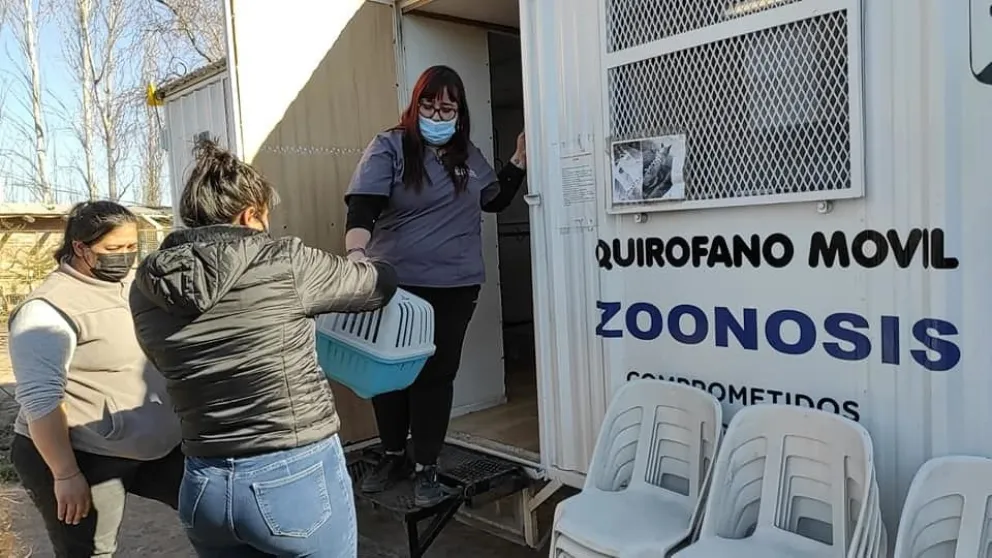   Cronograma gratuito de vacunación antirrábica y cuidados primarios
