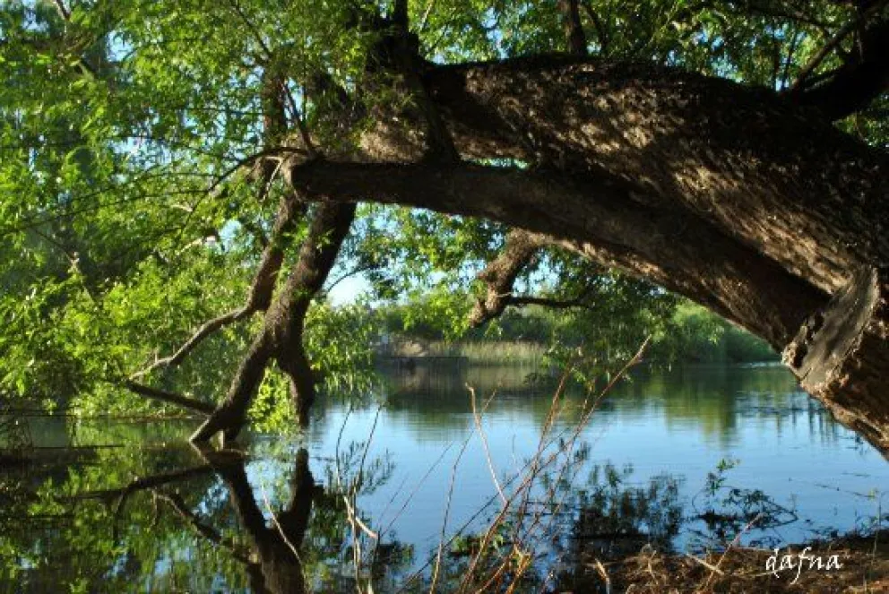 Los caudales de los ríos bajaron pero el deshielo se hace esperar