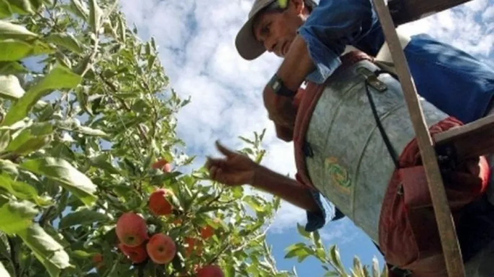 Trabajadores rurales consiguieron un aumento del 211%