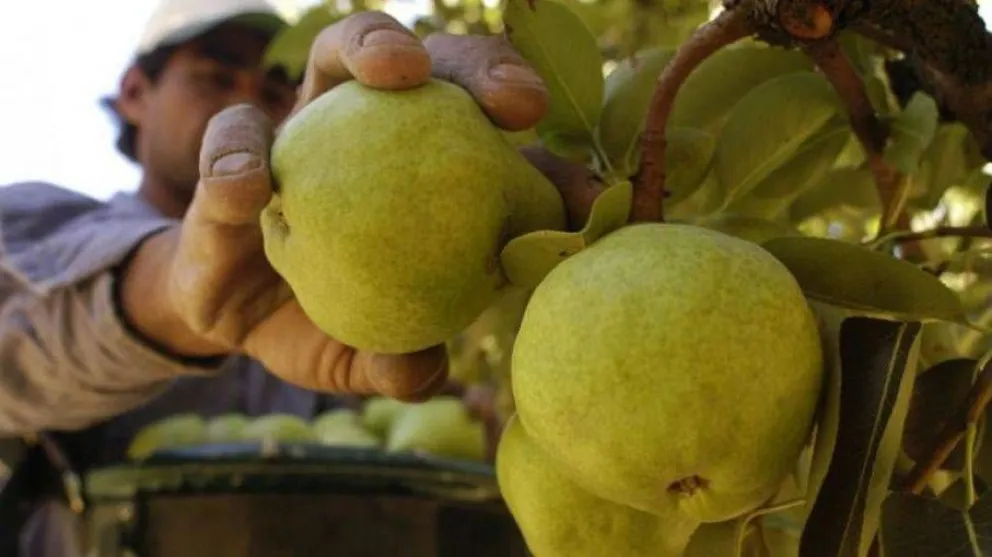 Paritarias: los rurales consiguieron un 55 % de aumento hasta febrero