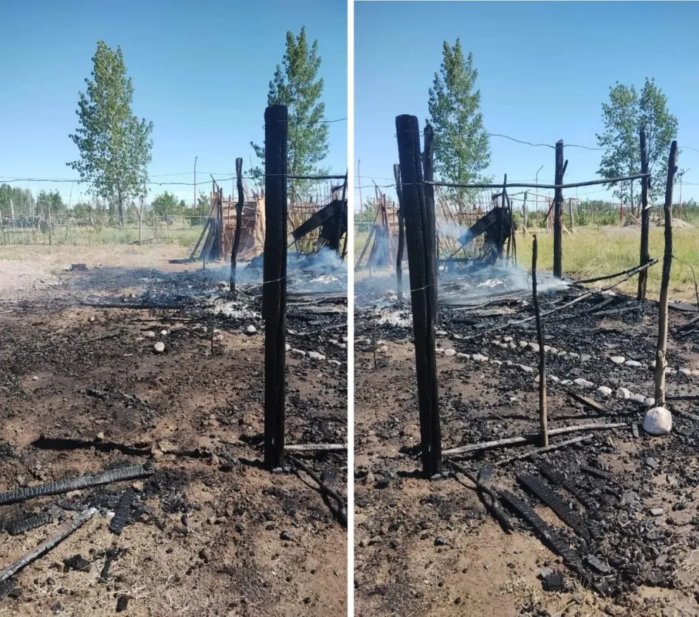 Detuvieron a una persona por incendios intencionales y robos en la zona