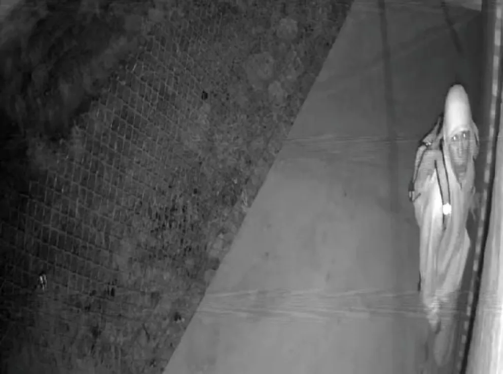 Inseguridad en la ciudad: Robó en el barrio Distrito Vecinal Noreste y fue capturado por las cámaras