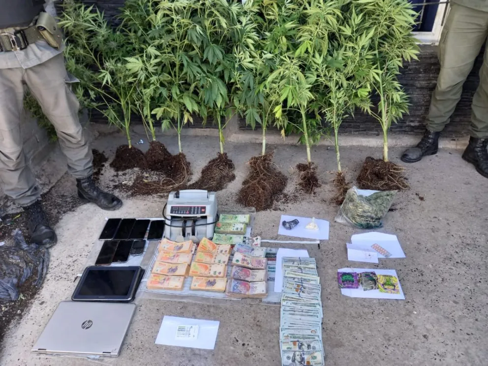 Importante secuestro de droga, dinero y armas tras allanamientos de Gendarmería en el Alto Valle