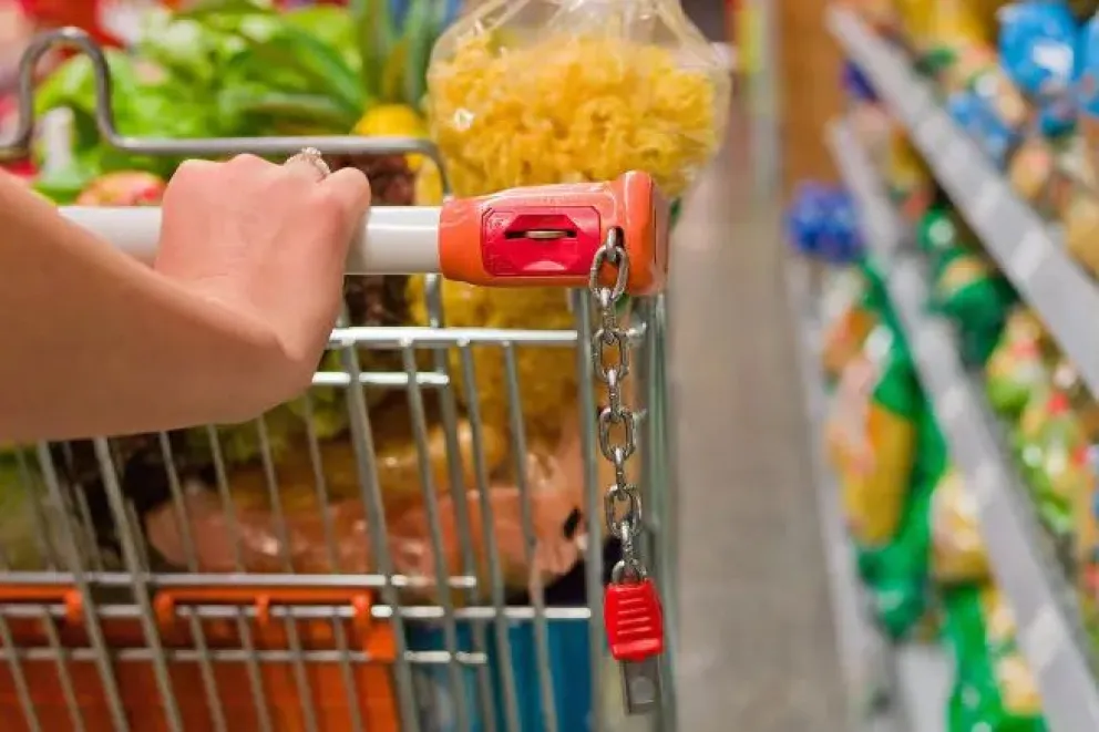 La Canasta Básica Total de noviembre aumentó 65.000 pesos en el Alto Valle