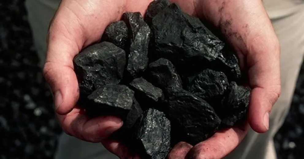 El secreto del carbón: la clave que tenés que saber para tu heladera