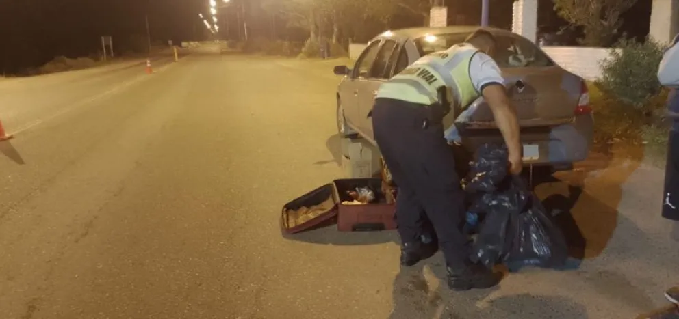 Decomisaron carne ilegal que transportaban en la rueda de una camioneta y dentro de una valija 