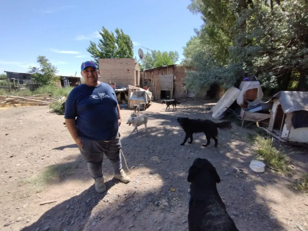 Dueño de perritos rescatados pide ayuda urgente para comprar alimento 