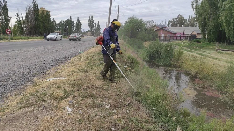  Comenzó la limpieza y el desmalezamiento en la ruta 151
