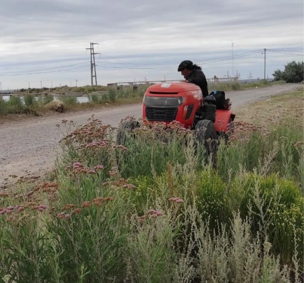 Cuadrillas municipales ya realizan mejoras en diferentes espacios de El 30