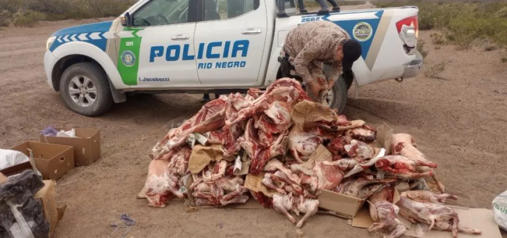 Increíble secuestro de 50 animales faneados provenientes de Río Negro